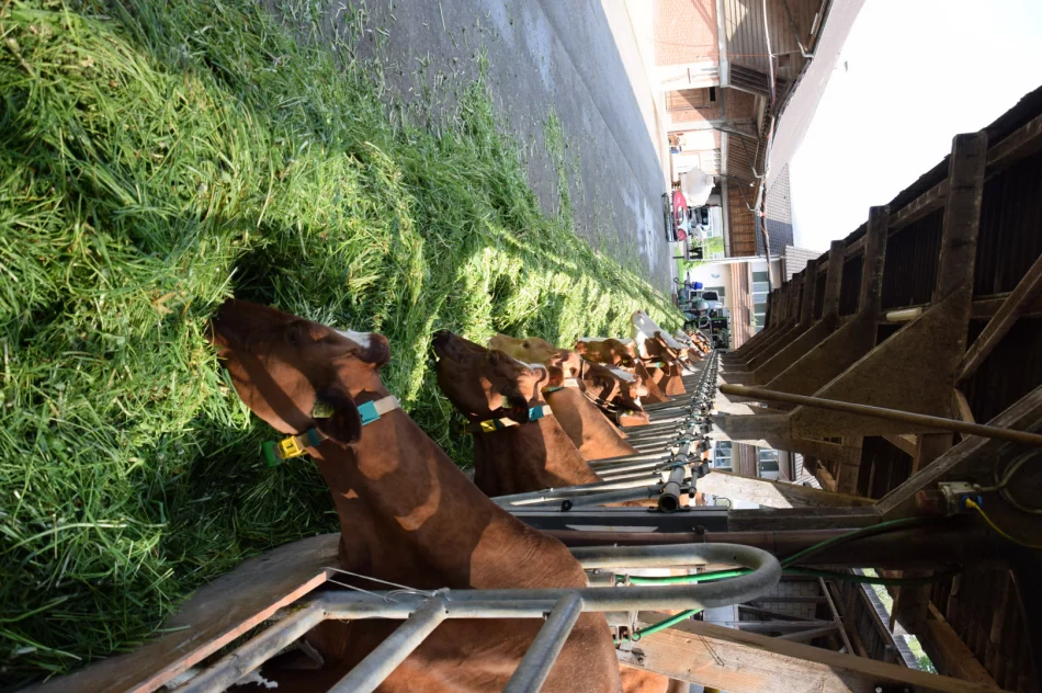 Śladami inż. Jana Drożdża, czyli II wyjazd studyjny do Szwajcarii - zdjęcie 14