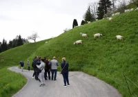 Rolnictwo alpejskie w Beskidach? - zdjęcie główne