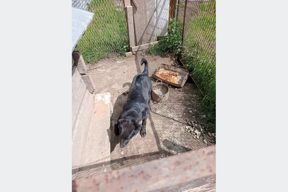 "To, co ujawniliśmy, to dramat" - kontrola na romskim osiedlu - zdjęcie 3