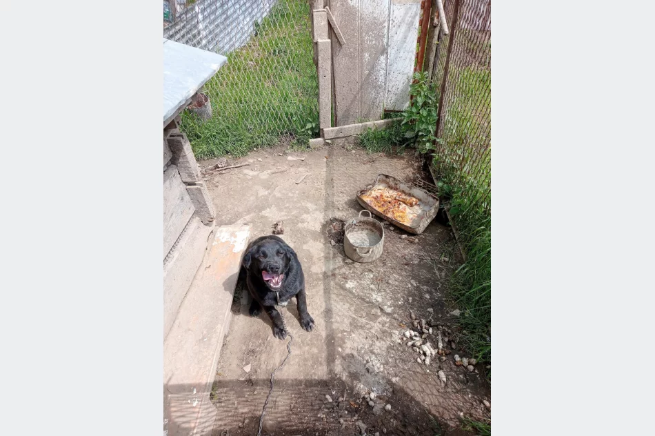 "To, co ujawniliśmy, to dramat" - kontrola na romskim osiedlu - zdjęcie 4