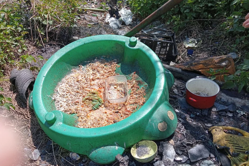 "To, co ujawniliśmy, to dramat" - kontrola na romskim osiedlu - zdjęcie 8