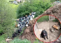 "To, co ujawniliśmy, to dramat" - kontrola na romskim osiedlu - zdjęcie główne