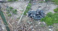 Walki psów w romskiej osadzie? Kulisy interwencji TOZ - zdjęcie 3