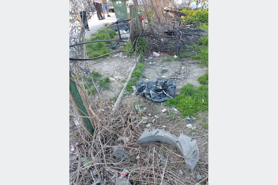 Walki psów w romskiej osadzie? Kulisy interwencji TOZ - zdjęcie 3