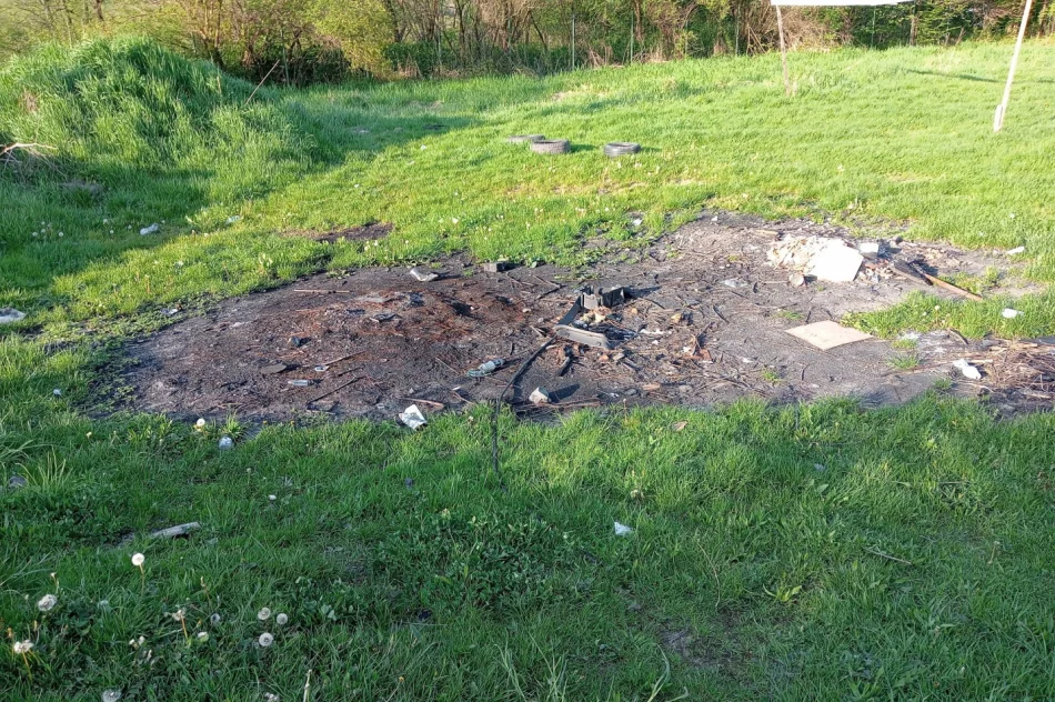 Walki psów w romskiej osadzie? Kulisy interwencji TOZ - zdjęcie 4