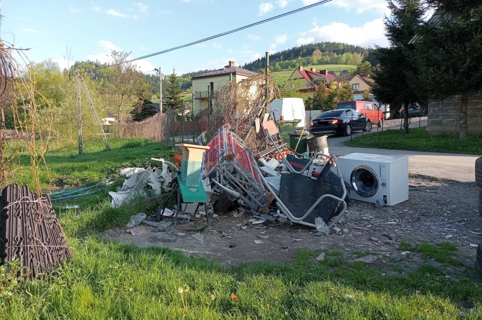 Walki psów w romskiej osadzie? Kulisy interwencji TOZ - zdjęcie 6