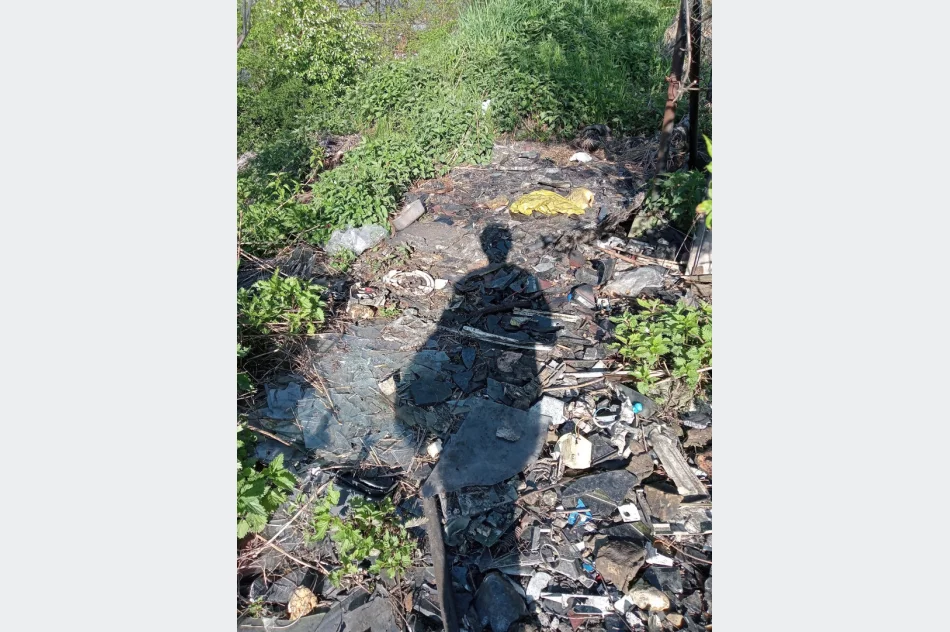 Walki psów w romskiej osadzie? Kulisy interwencji TOZ - zdjęcie 7