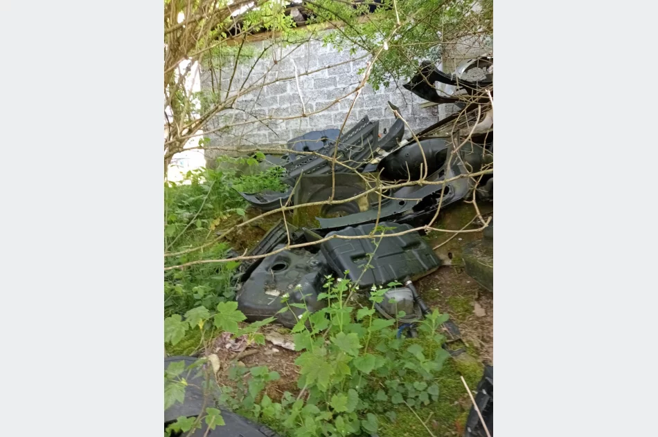 Walki psów w romskiej osadzie? Kulisy interwencji TOZ - zdjęcie 9