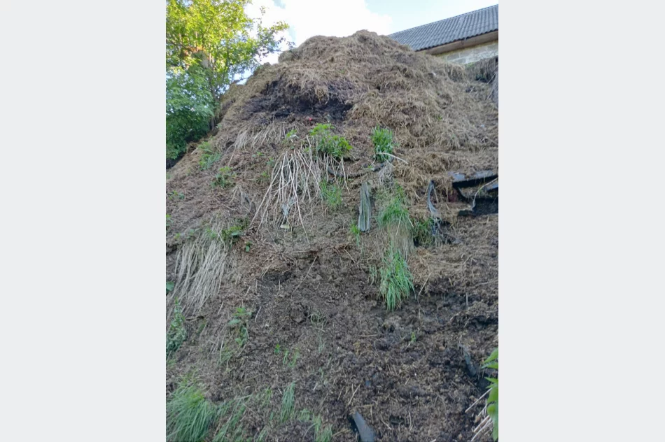 Walki psów w romskiej osadzie? Kulisy interwencji TOZ - zdjęcie 11