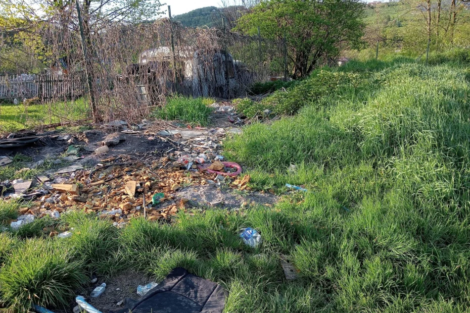 Walki psów w romskiej osadzie? Kulisy interwencji TOZ - zdjęcie 12