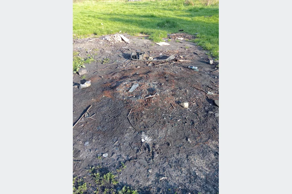 Walki psów w romskiej osadzie? Kulisy interwencji TOZ - zdjęcie 13