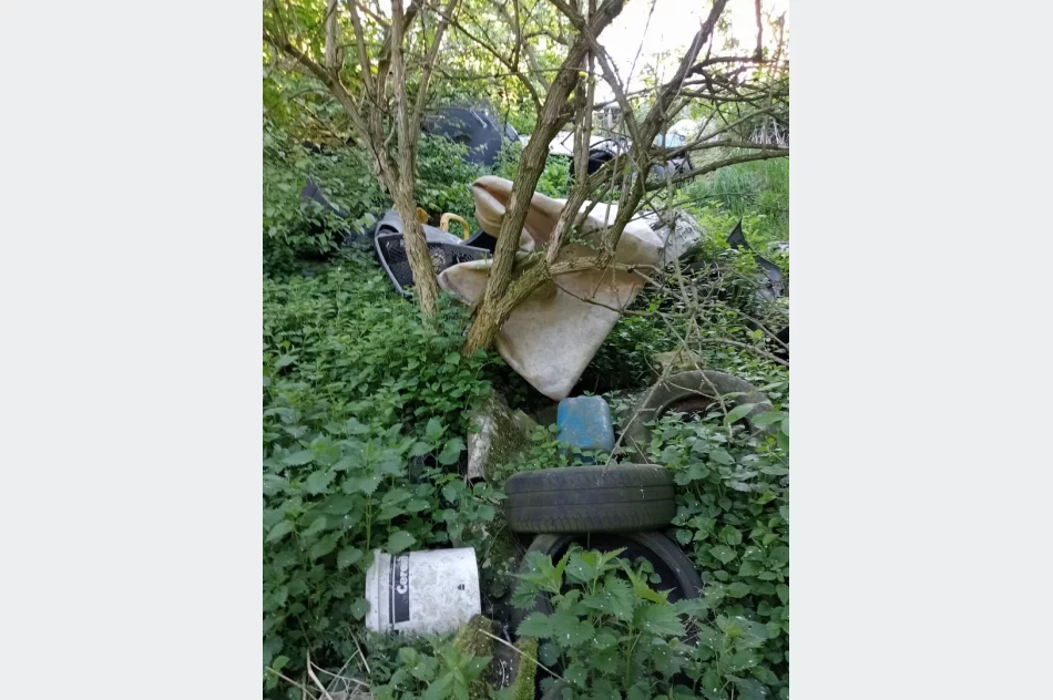 Walki psów w romskiej osadzie? Kulisy interwencji TOZ - zdjęcie 14