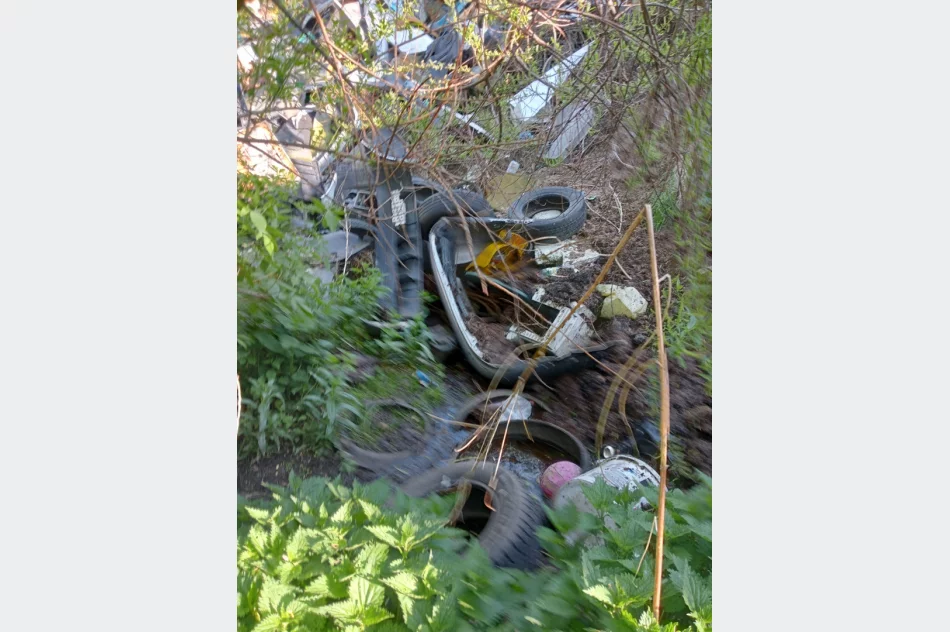 Walki psów w romskiej osadzie? Kulisy interwencji TOZ - zdjęcie 16