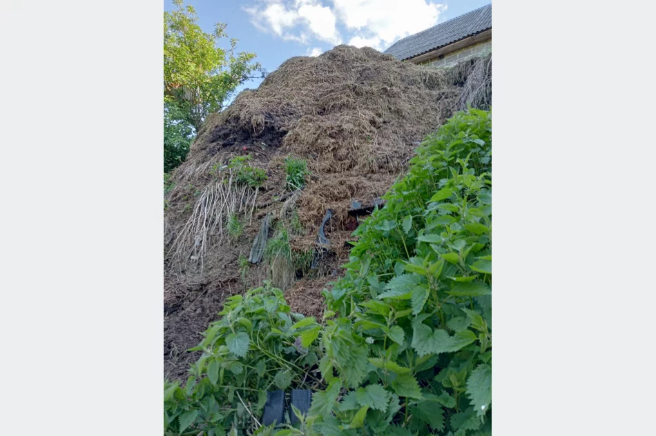 Walki psów w romskiej osadzie? Kulisy interwencji TOZ - zdjęcie 17