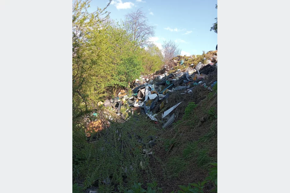 Walki psów w romskiej osadzie? Kulisy interwencji TOZ - zdjęcie 19