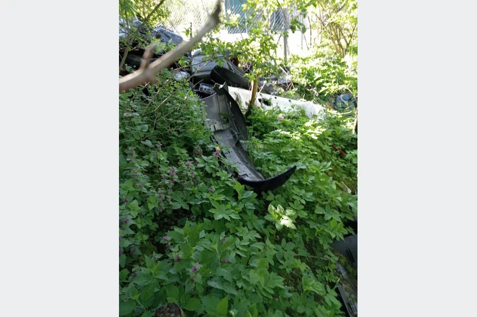 Walki psów w romskiej osadzie? Kulisy interwencji TOZ - zdjęcie 20