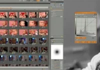 „Z kojotem nic trudnego...” - zdjęcie główne