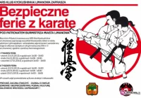 Ferie z karate - zdjęcie główne