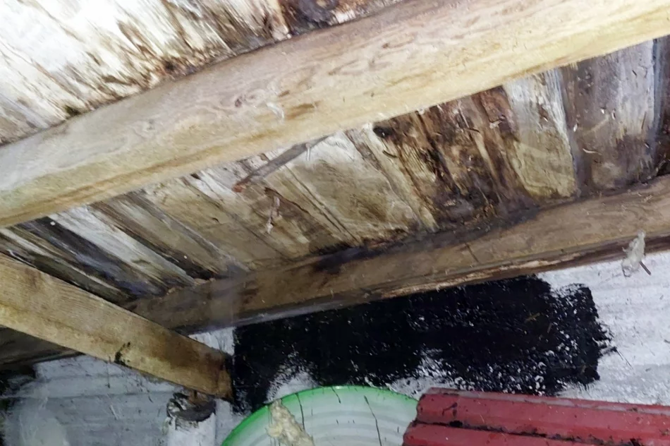 Remont dachu “konieczny i naglący” - zdjęcie 10