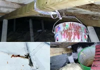 Remont dachu “konieczny i naglący” - zdjęcie główne