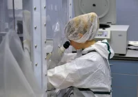 Zidentyfikowano bakterie odpowiedzialne za chorobę Parkinsona - zdjęcie główne