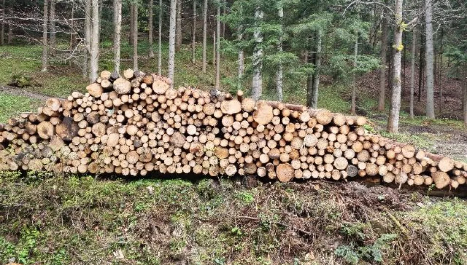 Nadwyżka drewna opałowego na sprzedaż - zdjęcie 1