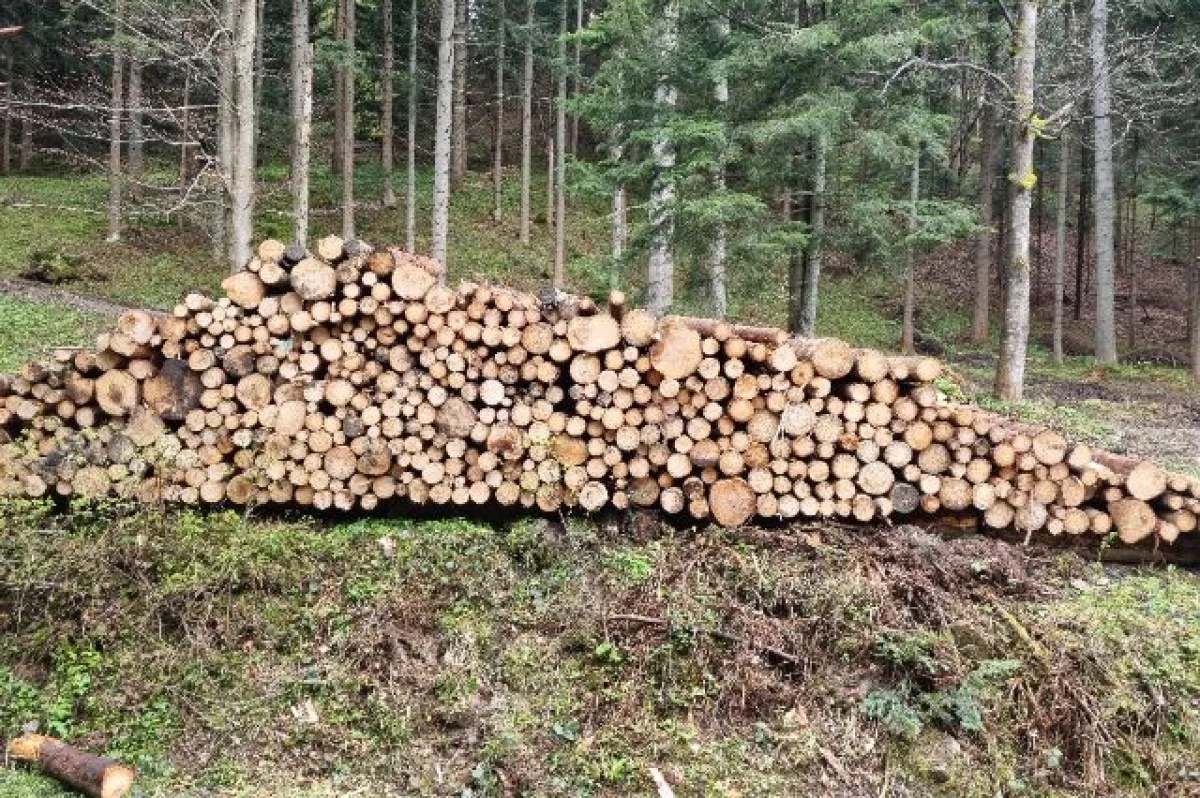 Nadwyżka drewna opałowego na sprzedaż