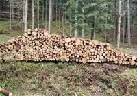 Nadwyżka drewna opałowego na sprzedaż - zdjęcie główne
