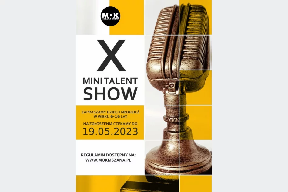 Ostatni dzwonek, by pochwalić się swoim talentem - zdjęcie 2