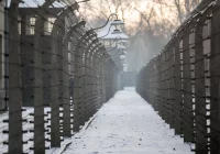 Wojewoda małopolski: budka z gastronomią w pobliżu b. KL Birkenau jest nieakceptowana - zdjęcie główne