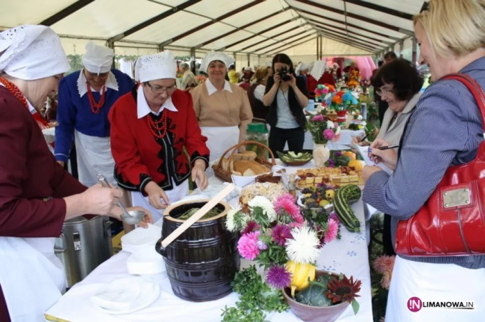 Koła z powiatu ukazały swój dorobek - zdjęcie 4