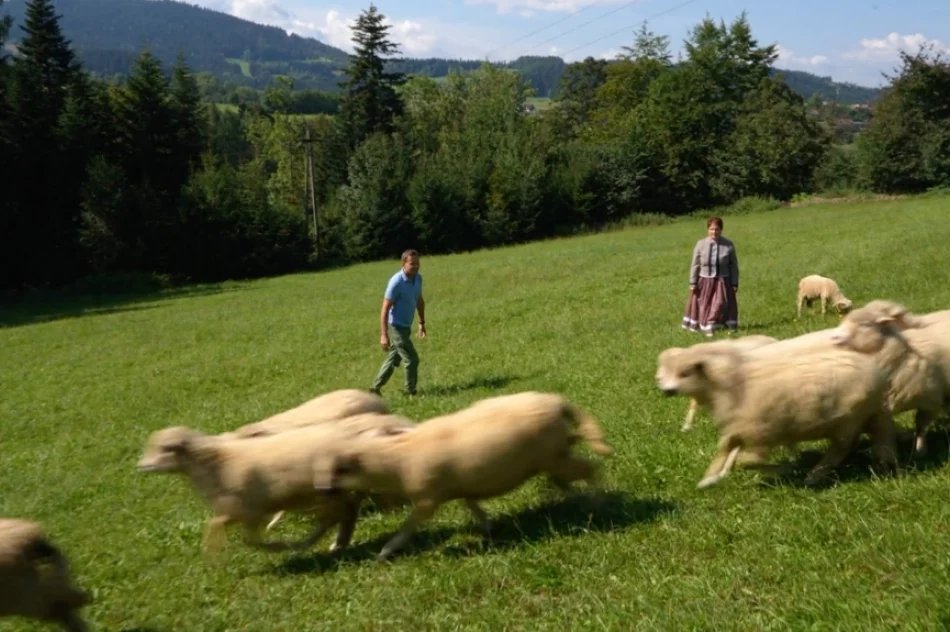 Gdzie Beskid Wyspowy wita się z Gorcami - zdjęcie 4