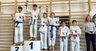 Tytuł „najlepszy zawodnik turnieju” i 13 medali wywalczyli w Jaśle najmłodsi karatecy ARS Klub Kyokushinkai - zdjęcie 5