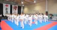 Zawodniczka ARS Limanowa – JONIEC Team brązową medalistką Akademickich Mistrzostw Polski w Karate Kyokushin - zdjęcie 3