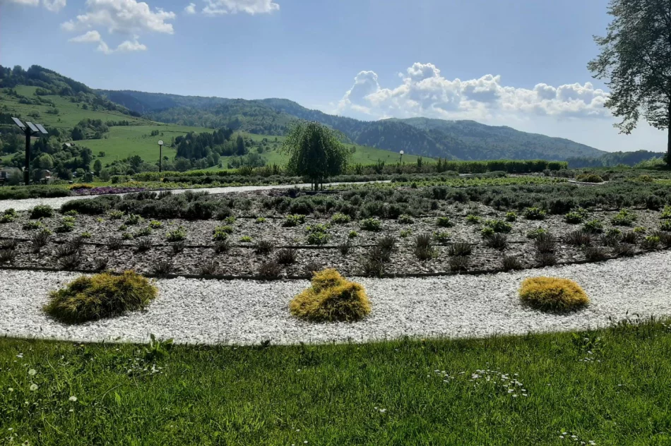 Zajęcia w muszyńskich ogrodach - zdjęcie 5