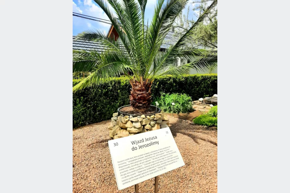 Zajęcia w muszyńskich ogrodach - zdjęcie 9