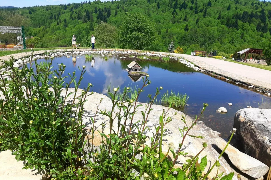 Zajęcia w muszyńskich ogrodach - zdjęcie 12