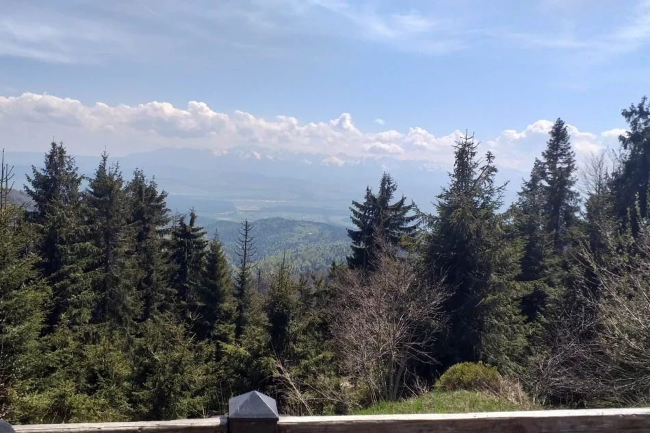 XIII Beskidzkie Camino - fotorelacja - zdjęcie 2