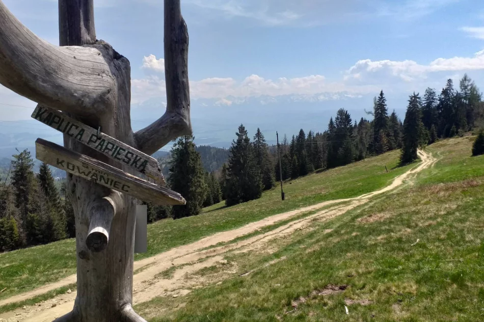 XIII Beskidzkie Camino - fotorelacja - zdjęcie 9