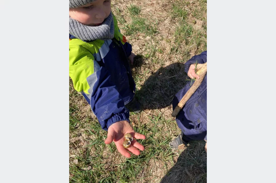 Cudowne Montessori i cudne akcje w maju - zdjęcie 2