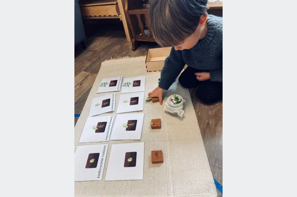 Cudowne Montessori i cudne akcje w maju - zdjęcie 8