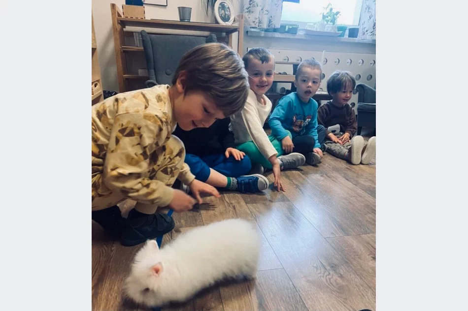 Cudowne Montessori i cudne akcje w maju - zdjęcie 16