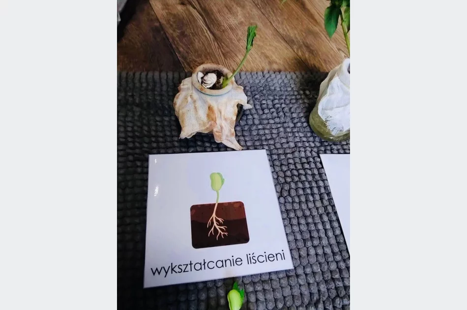 Cudowne Montessori i cudne akcje w maju - zdjęcie 20