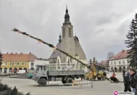 Palma Wielkanocna na limanowskim rynku - zdjęcie główne