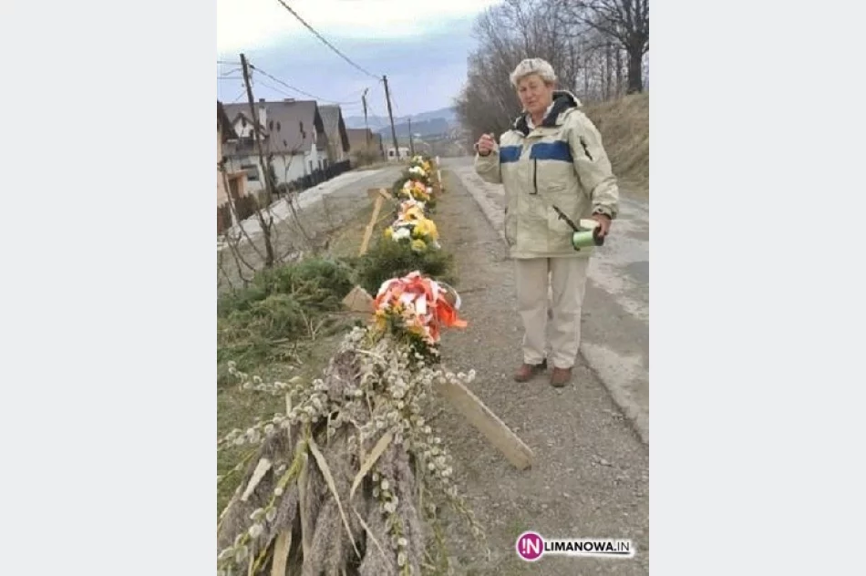 Palma Wielkanocna na limanowskim rynku - zdjęcie 2