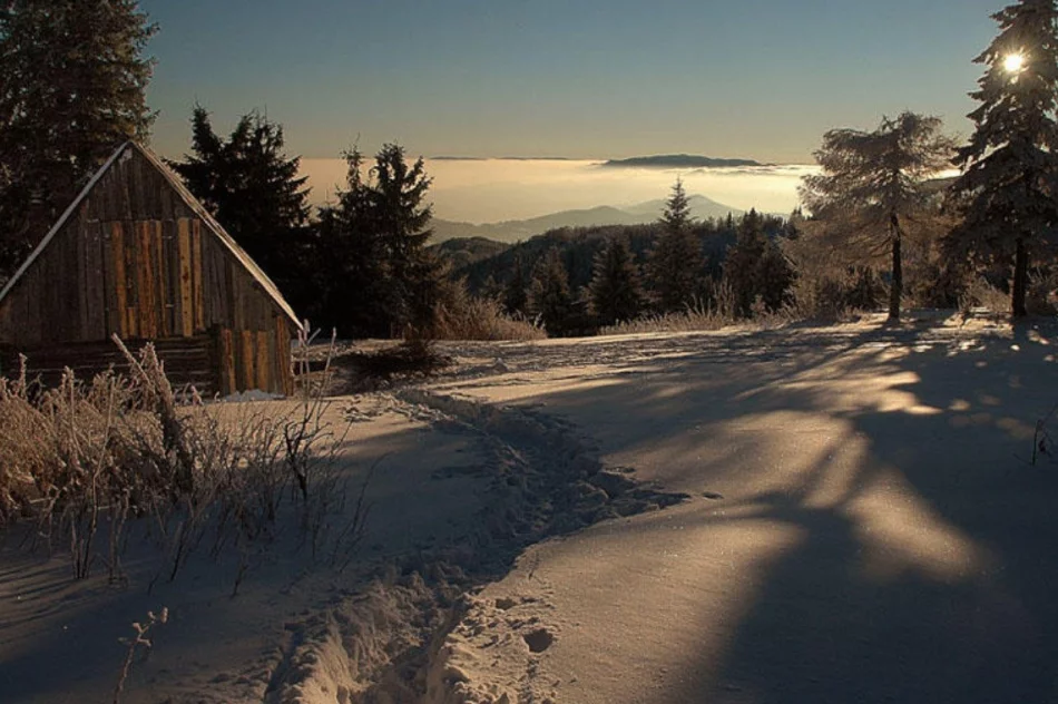 Bacówka pilnie potrzebuje pomocy - zdjęcie 6