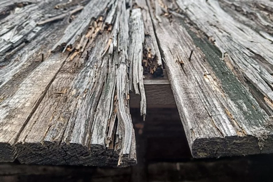 Bacówka pilnie potrzebuje pomocy - zdjęcie 8