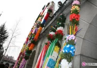 Konkurs na najpiękniejszą palmę! - zdjęcie główne