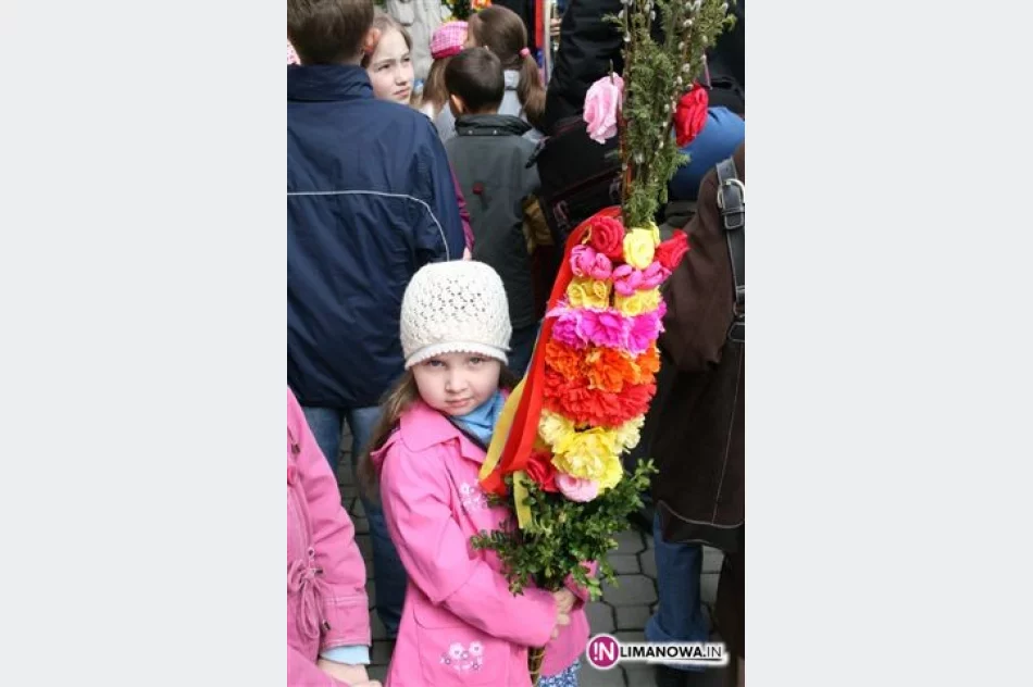 Konkurs na najpiękniejszą palmę! - zdjęcie 2