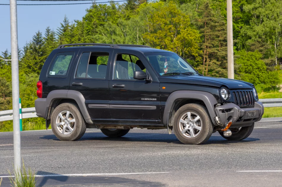 Zginął 54-latek z powiatu cieszyńskiego - zdjęcie 8